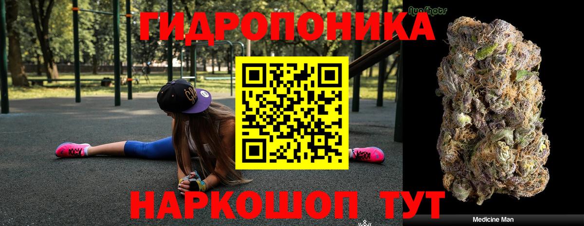 Шишки марихуана планчик Кисловодск